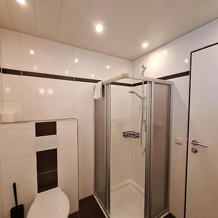 皮兹布因酒店 *