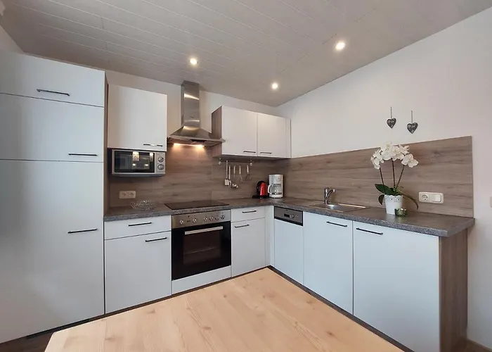 公寓 皮兹布因酒店 *