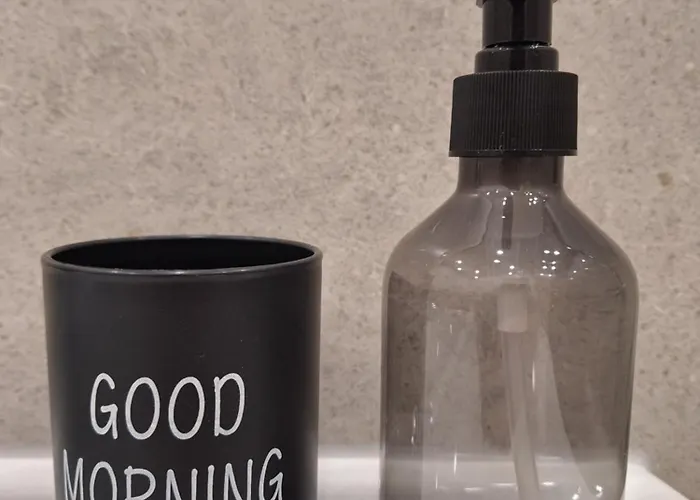 公寓 皮兹布因酒店 *