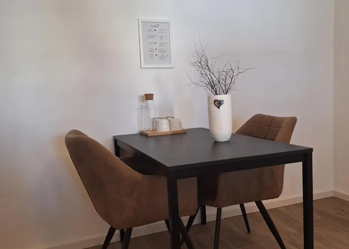 皮兹布因酒店 *